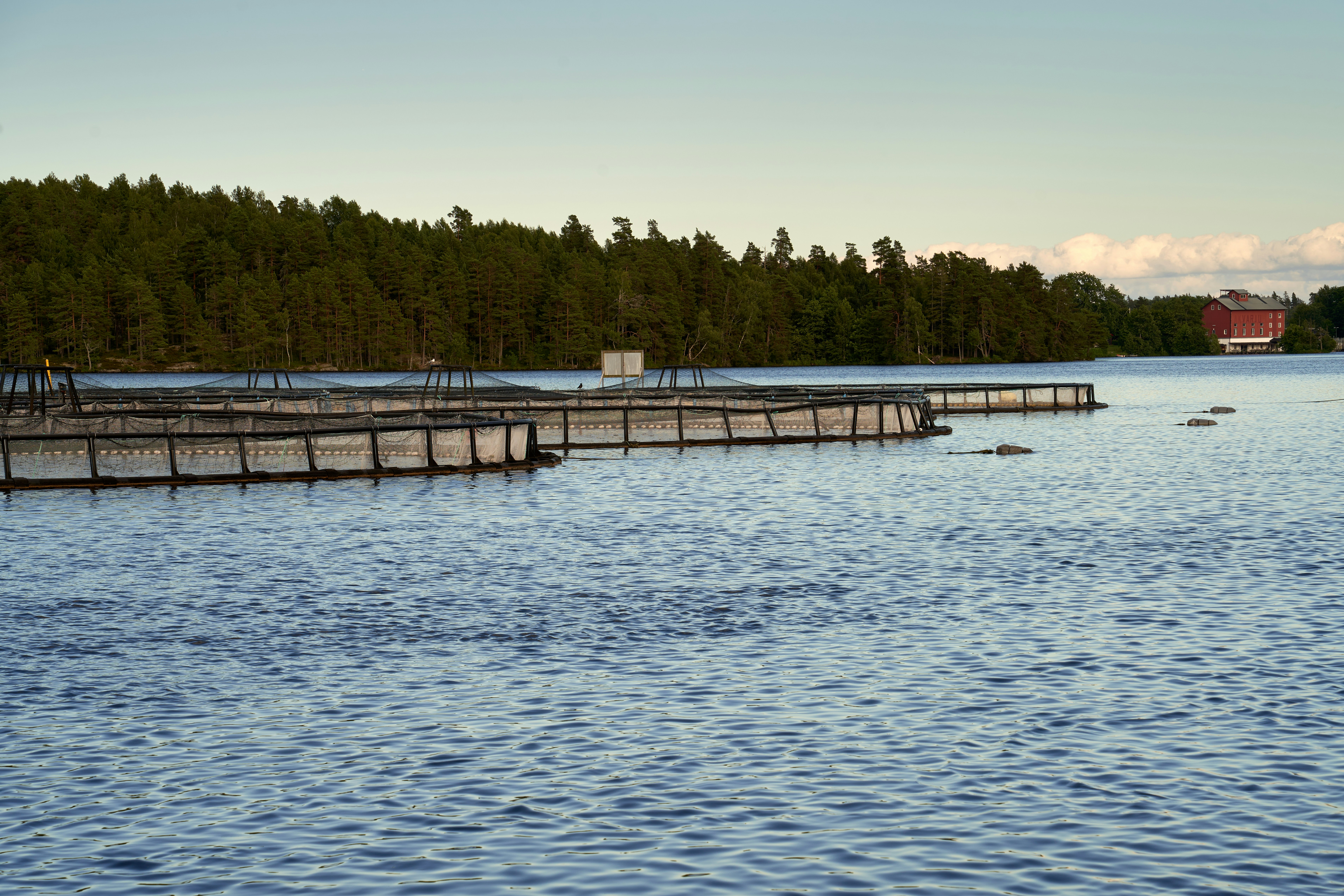 Fish Farm